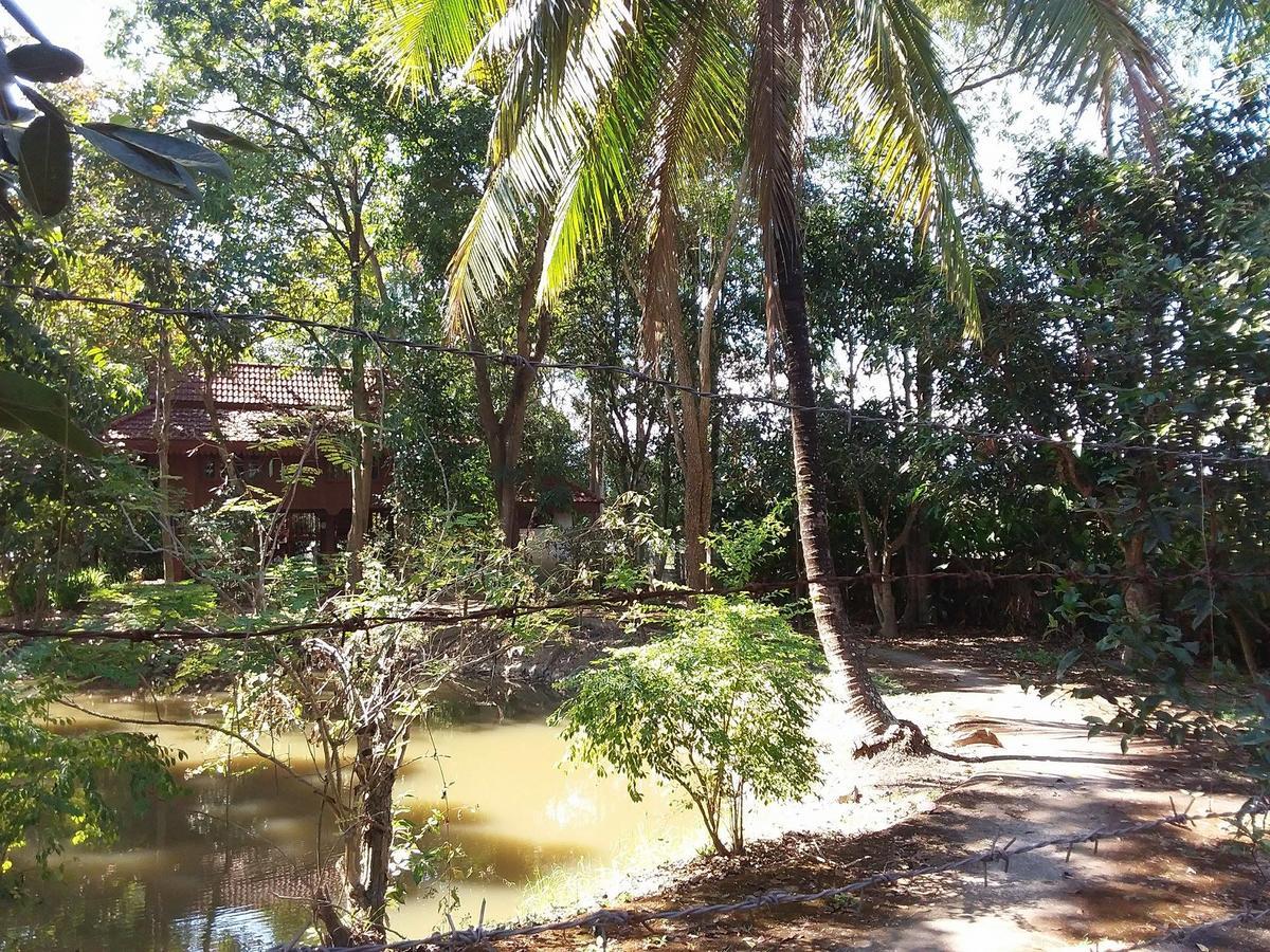 Your Home In Mae Rim Ban Muang Pha Dış mekan fotoğraf