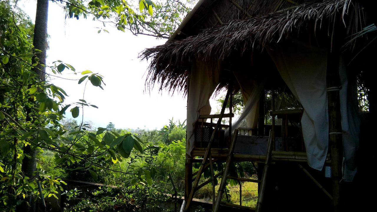 Your Home In Mae Rim Ban Muang Pha Dış mekan fotoğraf