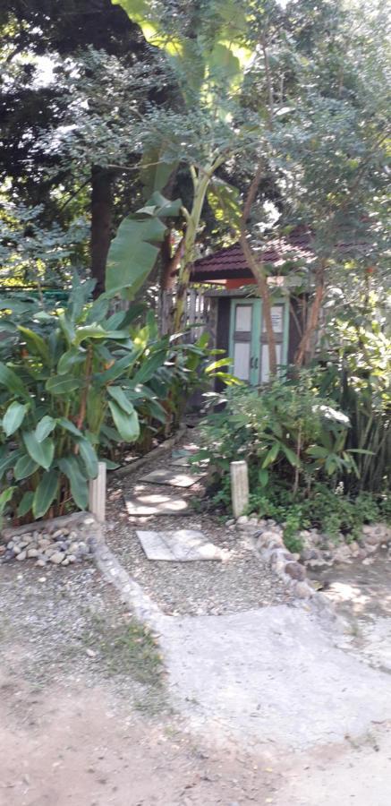 Your Home In Mae Rim Ban Muang Pha Dış mekan fotoğraf